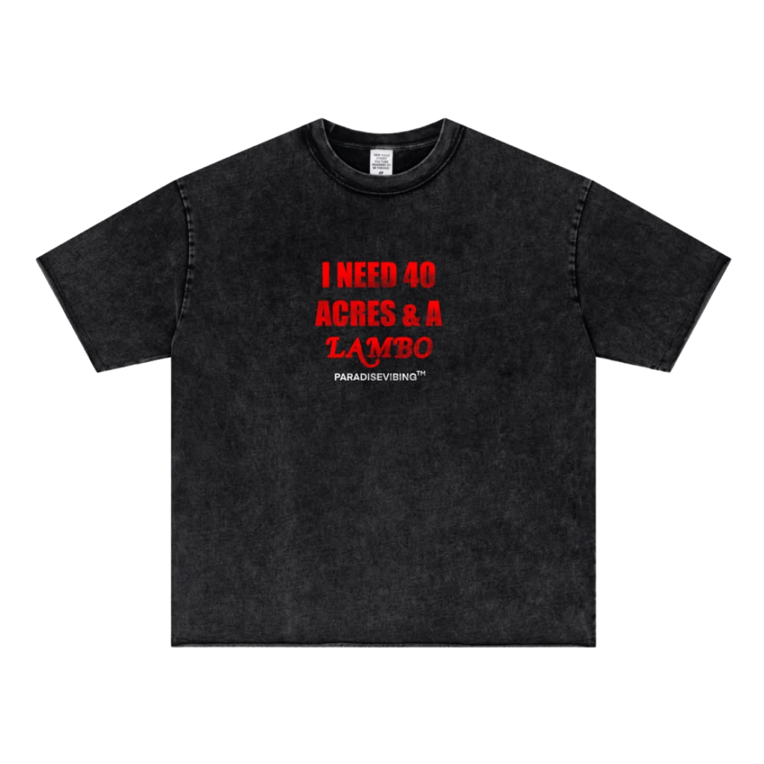 I Need 40 Acres Tee