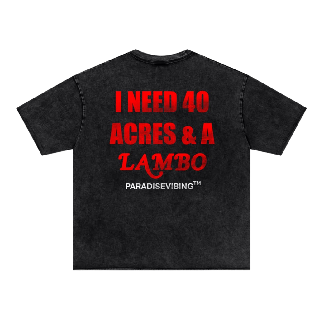 I Need 40 Acres Tee