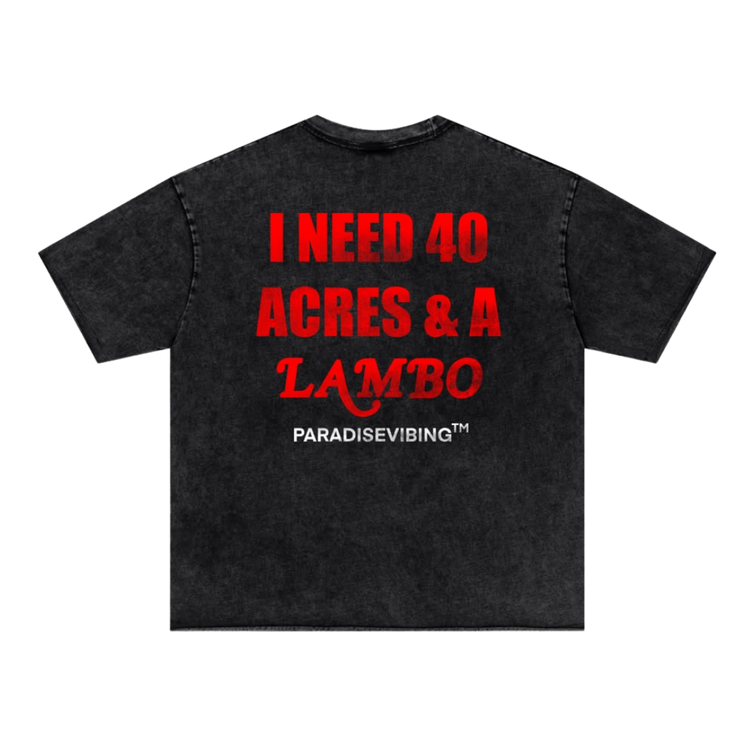 I Need 40 Acres Tee