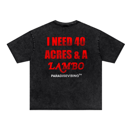 I Need 40 Acres Tee